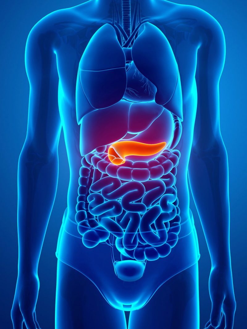 Pancreas